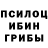Псилоцибиновые грибы Cubensis DREDO KREDO