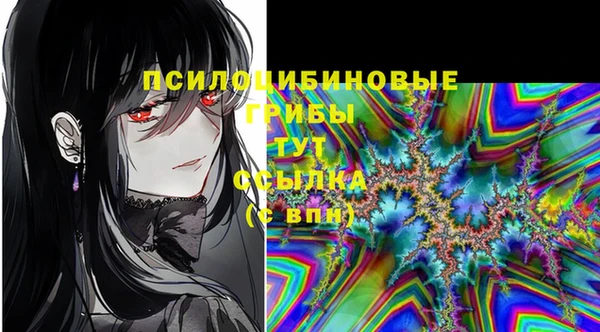 мдпв Верея