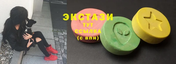 мдпв Верея