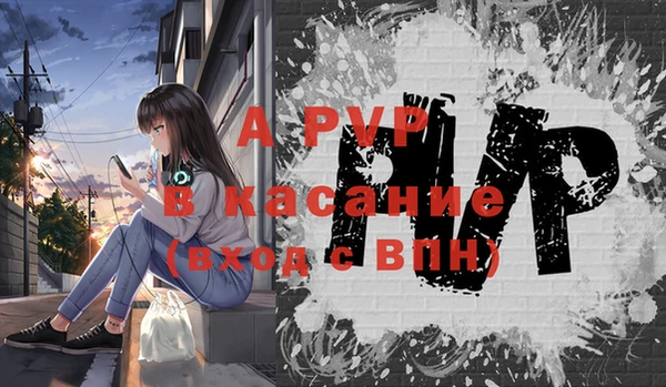 мдпв Верея