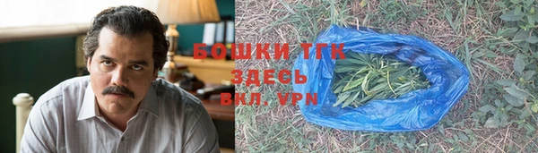 мдпв Верея