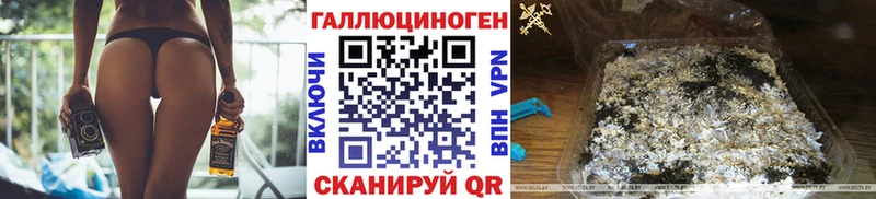 Галлюциногенные грибы прущие грибы  Княгинино 