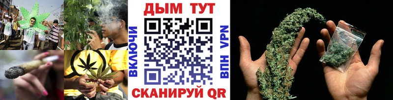 как найти закладки  Княгинино  Бошки марихуана планчик 